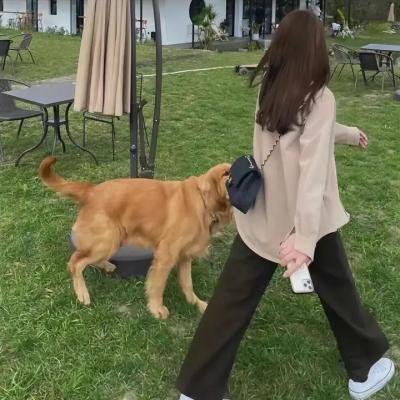 梦魂颠倒